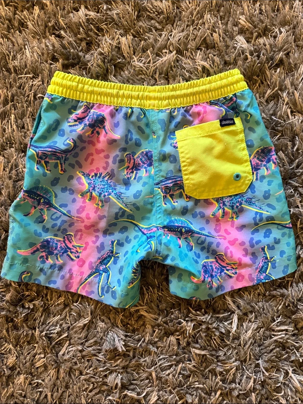 Kids Neon Dinosaur Chubbies Swim Shorts - Blue & Pink
